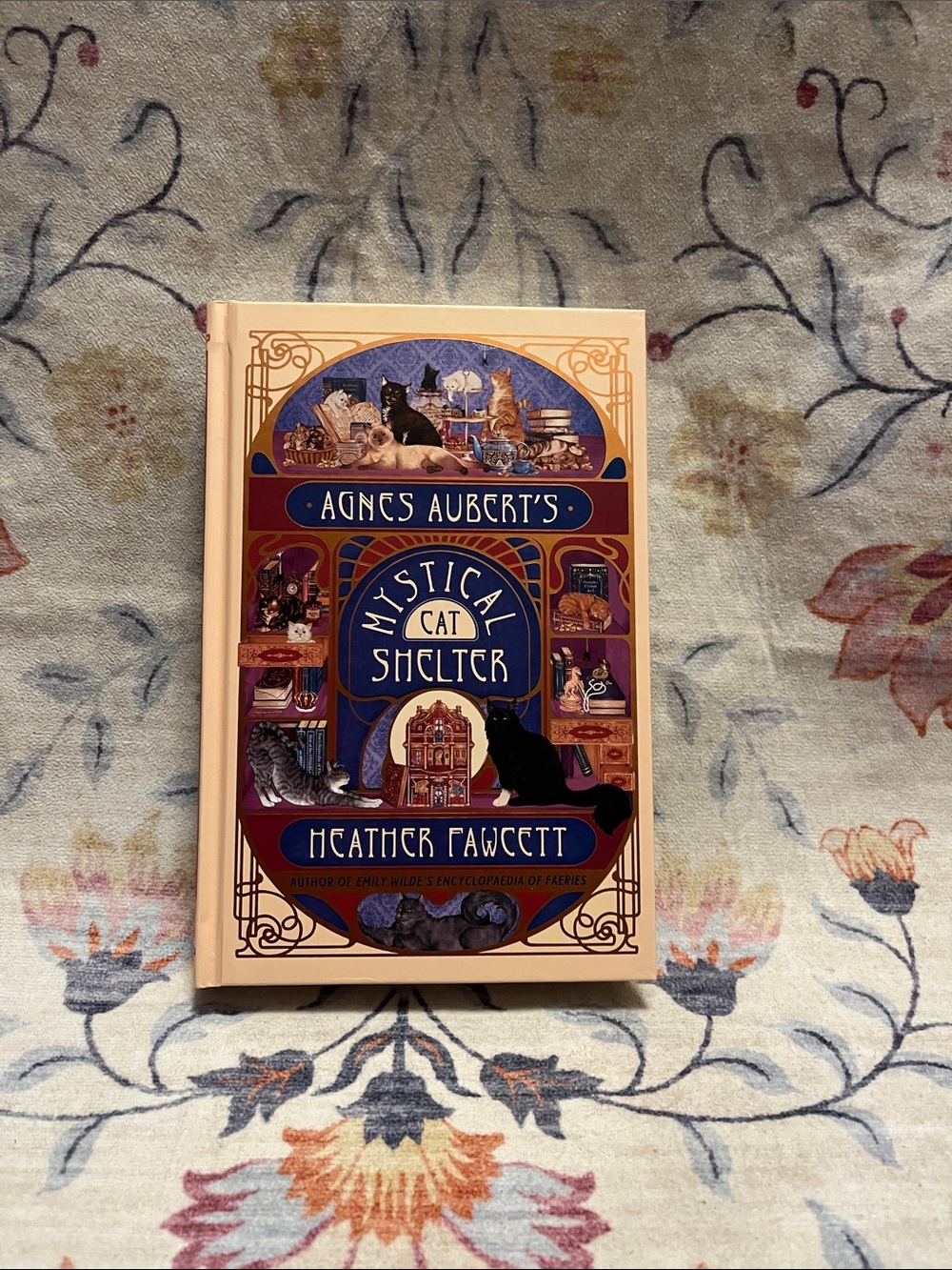 Agnes Aubert’s Mystical Cat Shelter by Heather Fawcett